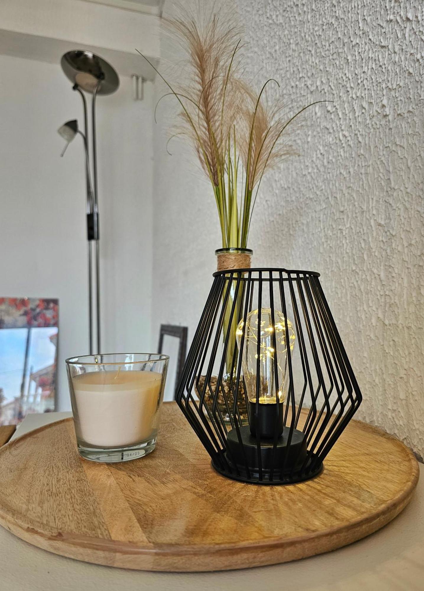 Appartement Lumineux Et Calme En Rez-De-Jardin Castanet-Tolosan Zewnętrze zdjęcie