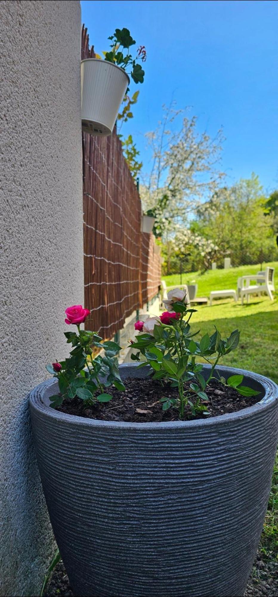 Appartement Lumineux Et Calme En Rez-De-Jardin Castanet-Tolosan Zewnętrze zdjęcie
